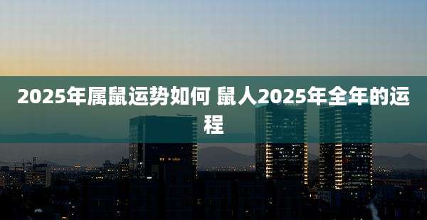 2025年属鼠运势如何 鼠人2025年全年的运程