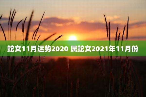 蛇女11月运势2020 属蛇女2021年11月份