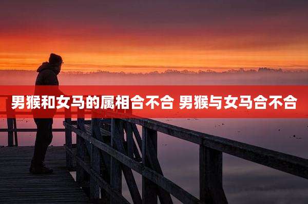 男猴和女马的属相合不合 男猴与女马合不合