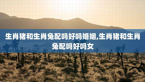 生肖猪和生肖兔配吗好吗婚姻,生肖猪和生肖兔配吗好吗女