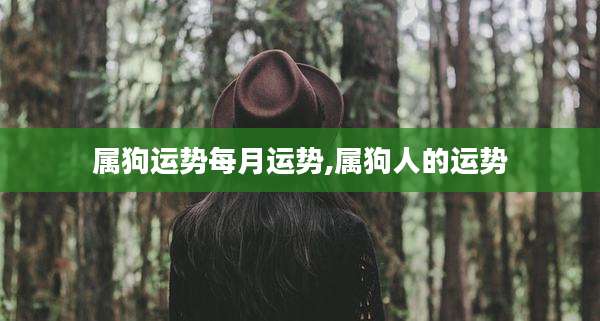 属狗运势每月运势,属狗人的运势