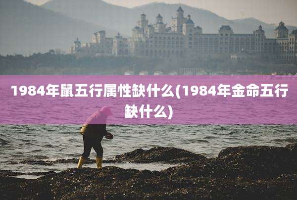 1984年鼠五行属性缺什么(1984年金命五行缺什么)