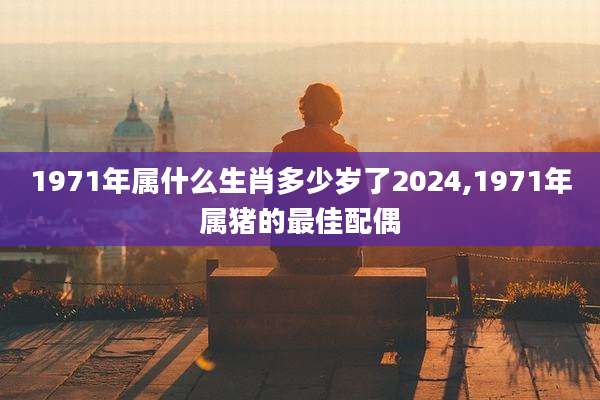 1971年属什么生肖多少岁了2024,1971年属猪的最佳配偶