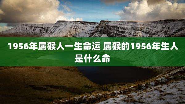 1956年属猴人一生命运 属猴的1956年生人是什么命