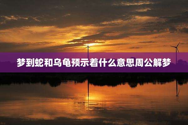 梦到蛇和乌龟预示着什么意思周公解梦