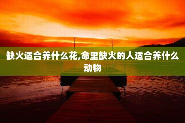 缺火适合养什么花,命里缺火的人适合养什么动物