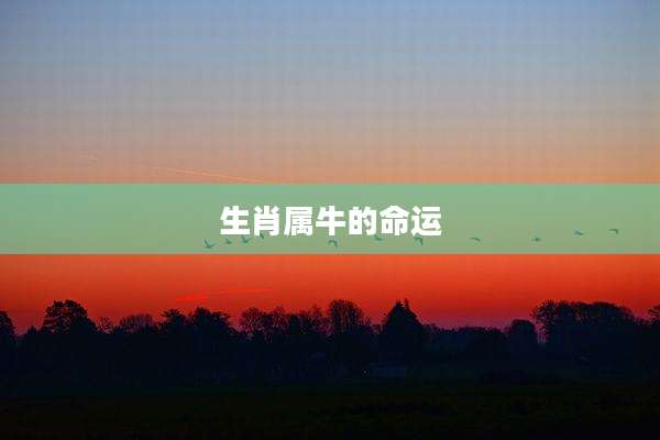 生肖属牛的命运