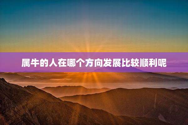 属牛的人在哪个方向发展比较顺利呢