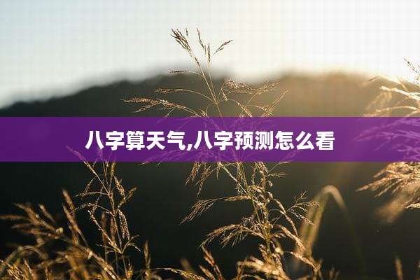 八字算天气,八字预测怎么看
