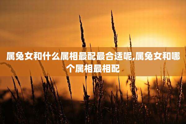 属兔女和什么属相最配最合适呢,属兔女和哪个属相最相配