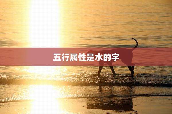 五行属性是水的字