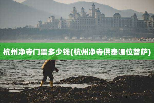 杭州净寺门票多少钱(杭州净寺供奉哪位菩萨)