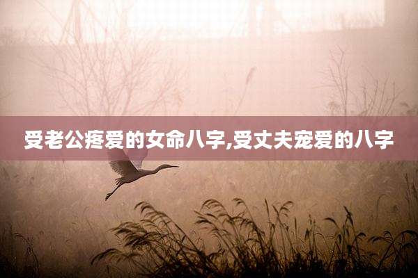 受老公疼爱的女命八字,受丈夫宠爱的八字