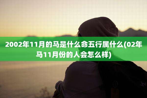 2002年11月的马是什么命五行属什么(02年马11月份的人会怎么样)