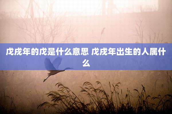 戊戌年的戊是什么意思 戊戌年出生的人属什么