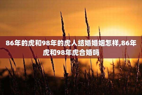 86年的虎和98年的虎人结婚婚姻怎样,86年虎和98年虎合婚吗