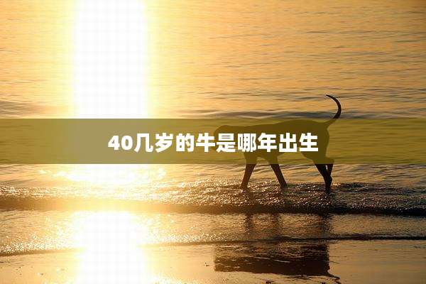 40几岁的牛是哪年出生