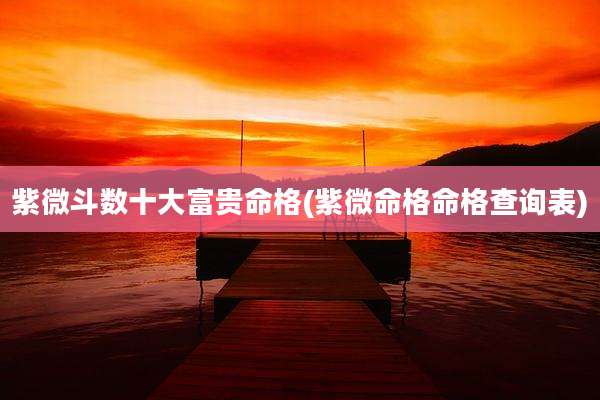 紫微斗数十大富贵命格(紫微命格命格查询表)