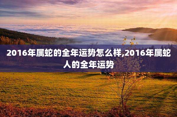 2016年属蛇的全年运势怎么样,2016年属蛇人的全年运势
