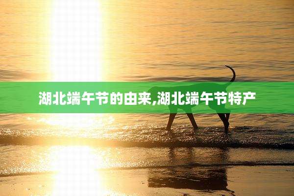 湖北端午节的由来,湖北端午节特产