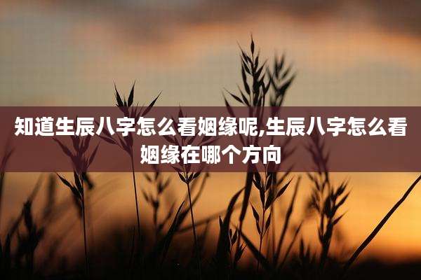 知道生辰八字怎么看姻缘呢,生辰八字怎么看姻缘在哪个方向