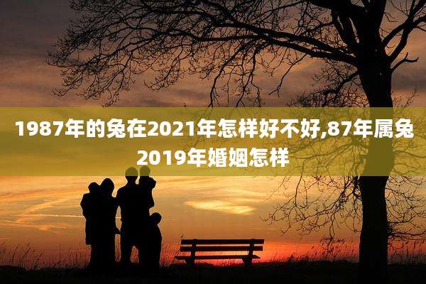 1987年的兔在2021年怎样好不好,87年属兔2019年婚姻怎样