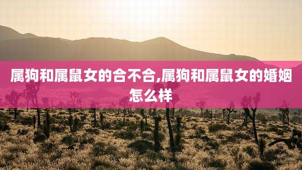 属狗和属鼠女的合不合,属狗和属鼠女的婚姻怎么样