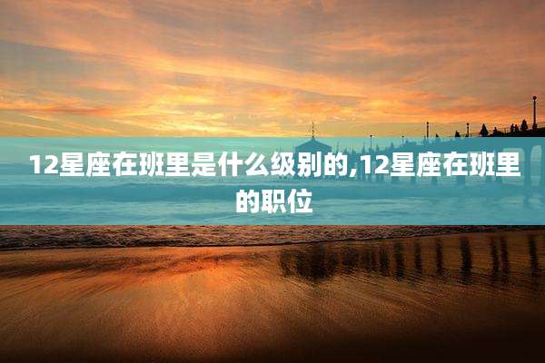 12星座在班里是什么级别的,12星座在班里的职位