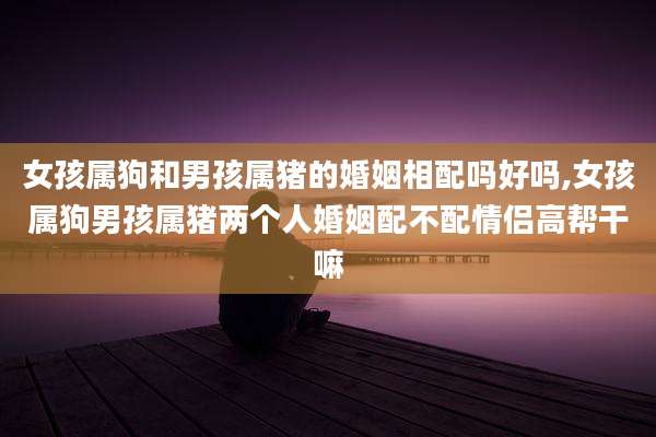 女孩属狗和男孩属猪的婚姻相配吗好吗,女孩属狗男孩属猪两个人婚姻配不配情侣高帮干嘛