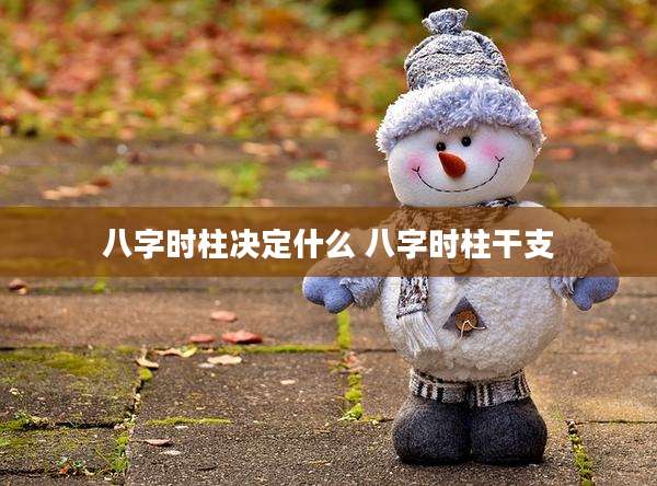 八字时柱决定什么 八字时柱干支