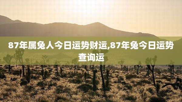 87年属兔人今日运势财运,87年兔今日运势查询运