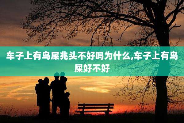 车子上有鸟屎兆头不好吗为什么,车子上有鸟屎好不好