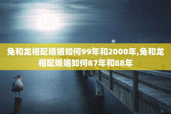 兔和龙相配婚姻如何99年和2000年,兔和龙相配婚姻如何87年和88年