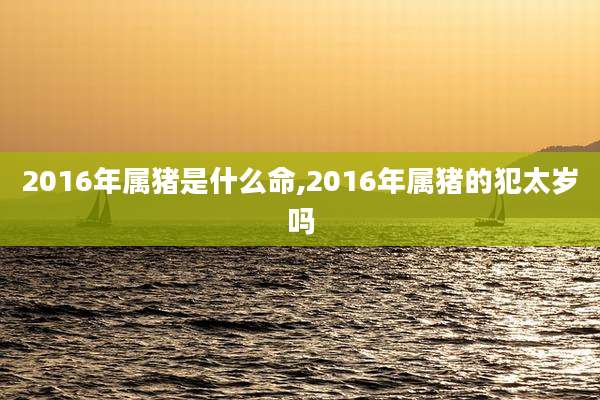 2016年属猪是什么命,2016年属猪的犯太岁吗