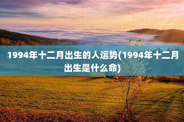 1994年十二月出生的人运势(1994年十二月出生是什么命)