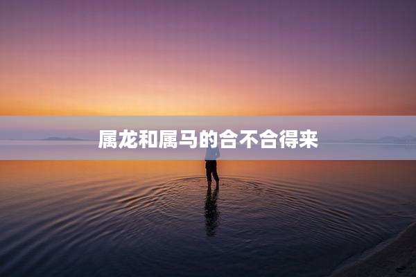 属龙和属马的合不合得来