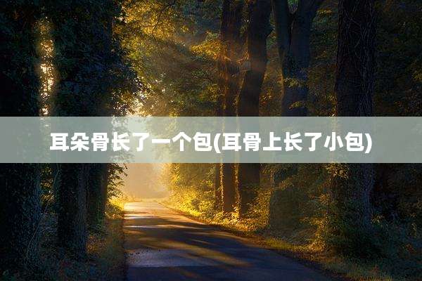 耳朵骨长了一个包(耳骨上长了小包)