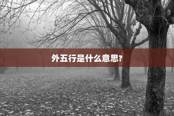 外五行是什么意思?