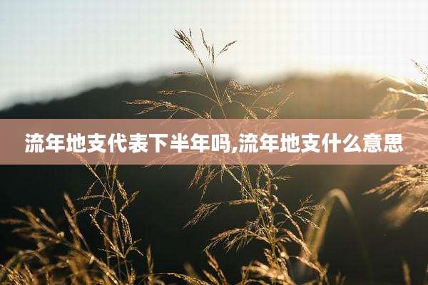 流年地支代表下半年吗,流年地支什么意思