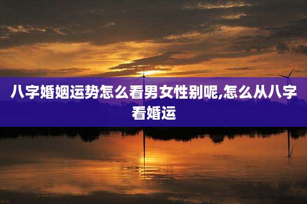 八字婚姻运势怎么看男女性别呢,怎么从八字看婚运