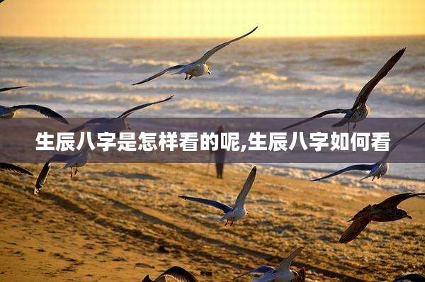生辰八字是怎样看的呢,生辰八字如何看