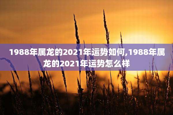 1988年属龙的2021年运势如何,1988年属龙的2021年运势怎么样