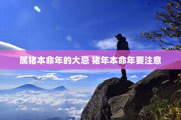 属猪本命年的大忌 猪年本命年要注意