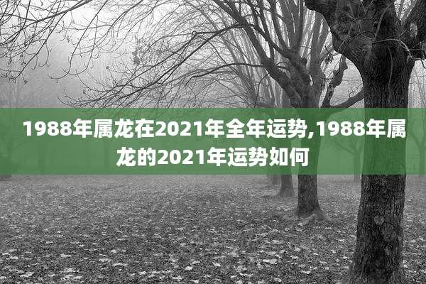 1988年属龙在2021年全年运势,1988年属龙的2021年运势如何