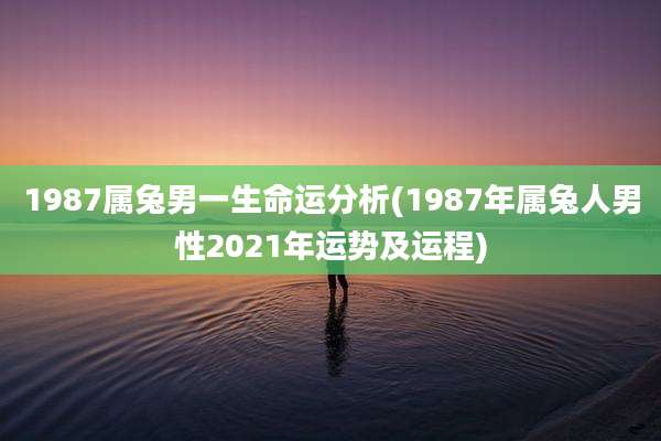 1987属兔男一生命运分析(1987年属兔人男性2021年运势及运程)