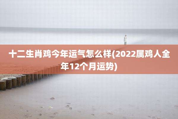 十二生肖鸡今年运气怎么样(2022属鸡人全年12个月运势)