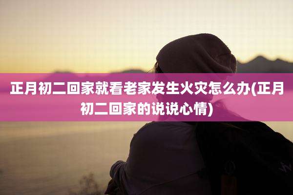 正月初二回家就看老家发生火灾怎么办(正月初二回家的说说心情)