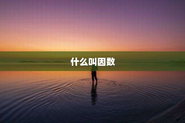 什么叫因数