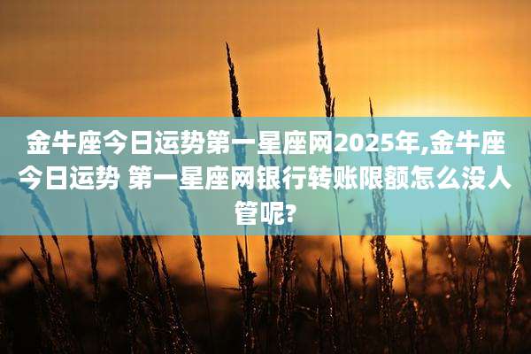 金牛座今日运势第一星座网2025年,金牛座今日运势 第一星座网银行转账限额怎么没人管呢?