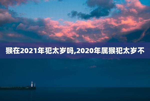 猴在2021年犯太岁吗,2020年属猴犯太岁不
